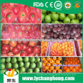 Frische Früchte Exporteure in China